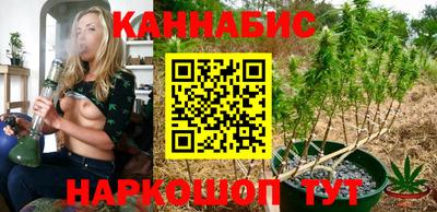 индика Абинск