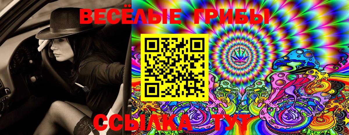 Псилоцибиновые грибы Magic Shrooms  Вход с VPN  Россия 